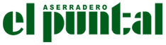 Logo El Puntal